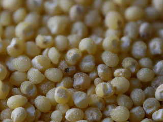 Macro Close-up of Millet Seeds, Food Background With Selected Focus