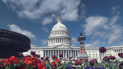 flower bed in front of the us capitol building in washington