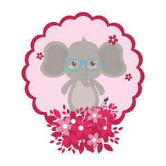 Elephant cartoon design vector illustrator