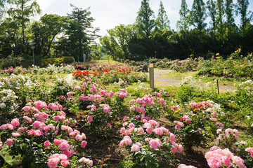 靭公園