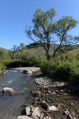 The mountain river Yarovka on the territory of the Altai Territory in Western Siberia. Russia