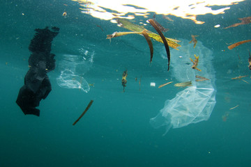 Plastic bags, bottles, cups and straws pollution in ocean