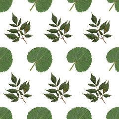 seamless pattern of color leaves 