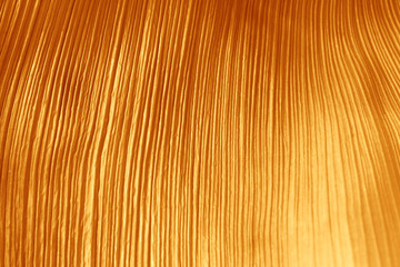 Surface of leaf gold color for textured background.