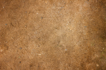 Soil on the ground as texture and background, The structure of the soil close-up.