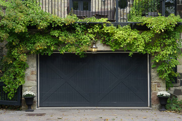 garage door surrounded by vines