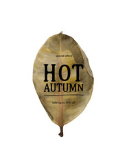 Obraz premium Hot Autumn sale banner