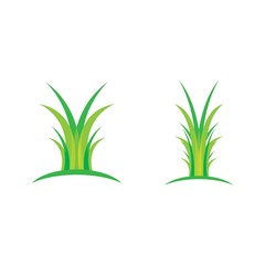 Grass vector illustration