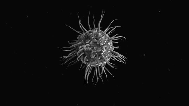 4K Dendritic cell. Highly realistic CGI animation.
