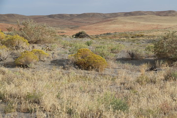 Obraz premium High Planes Desert and Rolling Hills