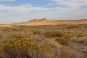 High Planes Desert and Rolling Hills