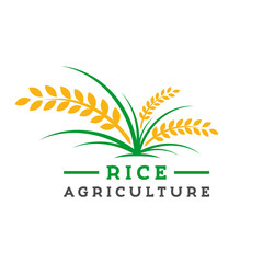 rice farming logo design