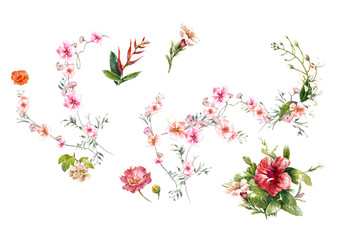 watercolor painting of leaves and flower, on white background