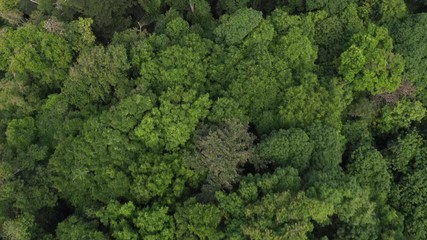 Christmas Island Australia from the air
