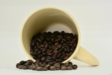 coffee bean in coffee cup isolated on white background.