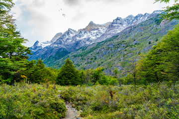 Fototapeta na wymiar Beautiful nature landscape at Torres del Paine National Park in Southern Chilean Patagonia