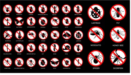 Foto op Plexiglas set of various insect prohibited in silhouette, with insect name. easy to modify © coolvectormaker
