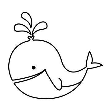 cute whale animal baby character