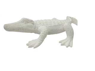 toy crocodile in white background