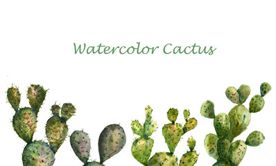 Watercolor cactus collection on white background , hand drawn