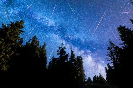 Blue Milky way falling stars pine trees silhouette