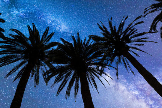 Blue Milky way falling stars palm trees