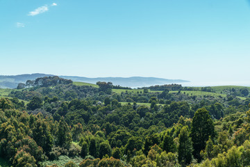 Obraz premium Die Landschaft am Cape Otway in Victoria Austrlaien an der Great Ocean Road in sattem grün