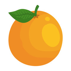 orange citrus fruit fresh icon