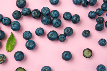 Many ripe blueberry on color background