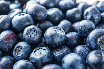 Many ripe blueberry, closeup view
