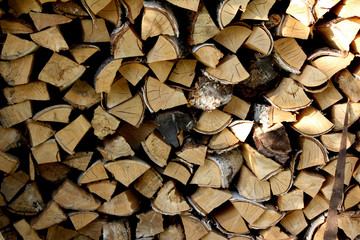 pile of wood