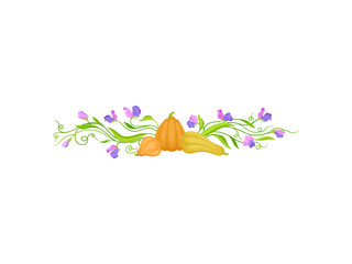 Arrangement of pumpkins, leaves, stems and flowers. Vector illustration on white background.