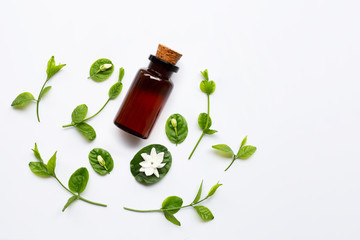 Bottle of essential oil with jasmine flower and leaves on white.
