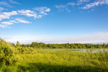 A small lake in the overgrown swampy shores in the rays of the evening sun.