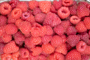 Fresh picked up red raspberries in box