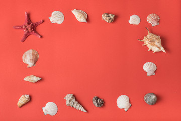 Frame from variety of seashells on the background of living coral. Flat lay. Marine concept