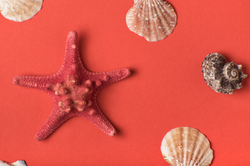 Starfish on the background of living coral. Close-up. Marine concept