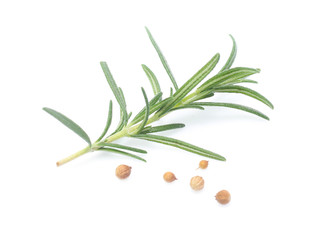 rosemary isolated on white background