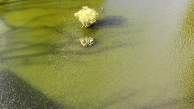 Aereal Drone Footage.
Aerial shot of landscape in the park (Parque Rodo, Montevideo Uruguay)