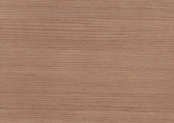 Wood oak tree close up texture background. Wooden floor or table with natural pattern. Good for any interior design