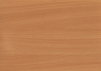 Fototapeta premium Drewno dębowe z bliska tekstury tła. Drewniana podłoga lub stół z naturalnym wzorem. Nadaje się do każdego wnętrza