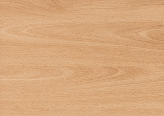 Obraz premium Wood oak tree close up texture background. Wooden floor or table with natural pattern. Good for any interior design