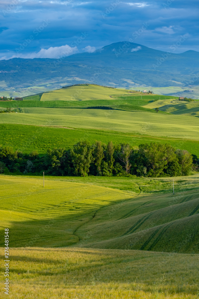 Canvas Prints beautifully illuminated landscape of tuscany . green hills