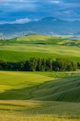 Beautifully illuminated landscape of Tuscany . green hills