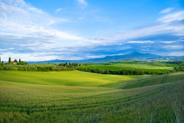 Fototapeta na wymiar Beautifully illuminated landscape of Tuscany . green hills