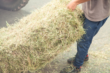 Caucasian worker. Stack of hay. Dry grass