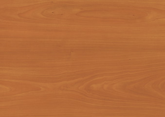 Wood oak tree close up texture background. Wooden floor or table with natural pattern. Good for any interior design