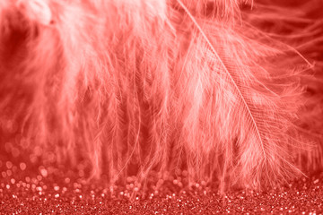 Fototapeta premium Gentle magical golden background with yellow feather. Macro photo.