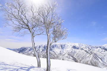 Fototapeta na wymiar 新雪に輝く荒沢岳（日本二百名山）