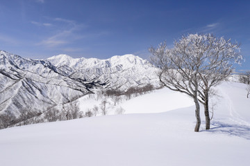 新雪輝く越後三山